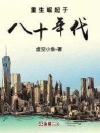 重生于八十年代的