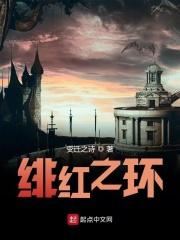 绯红之境怎么样