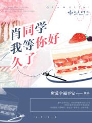我从未忘记你歌词