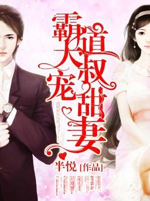 苏乐夜宸全文免费阅读