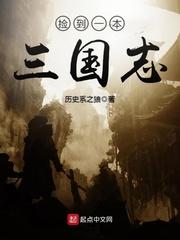 捡到一本三国志TXT电子书