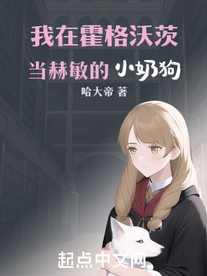 我在霍格沃茨当赫敏的小奶狗哈大帝