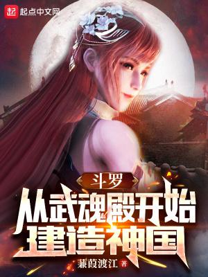 斗罗从武魂殿开始建造神国(全本)