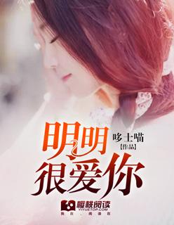 明明很爱你却假装不在意是什么歌