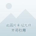 位面商人守则