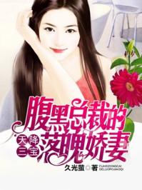 天降三宝:腹黑总裁的落魄娇妻