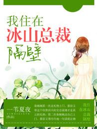 我住在冰山总裁隔壁