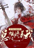 穿书后死对头总想娇养我